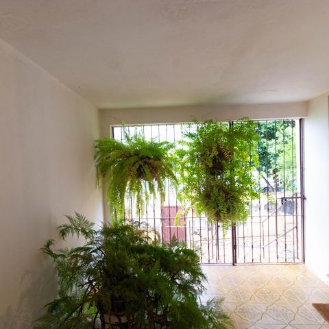 Casa à venda com 113m², 3 quartos e 2 vagas Casa à venda com 113m², 3 quartos e 2 vagasHall de entrada