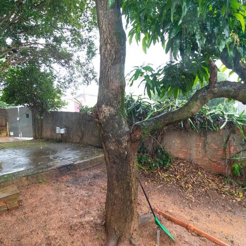 Casa à venda com 113m², 3 quartos e 2 vagas Casa à venda com 113m², 3 quartos e 2 vagasQuintal