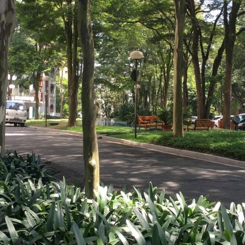 Apartamento à venda com 236m², 4 quartos e 3 vagas