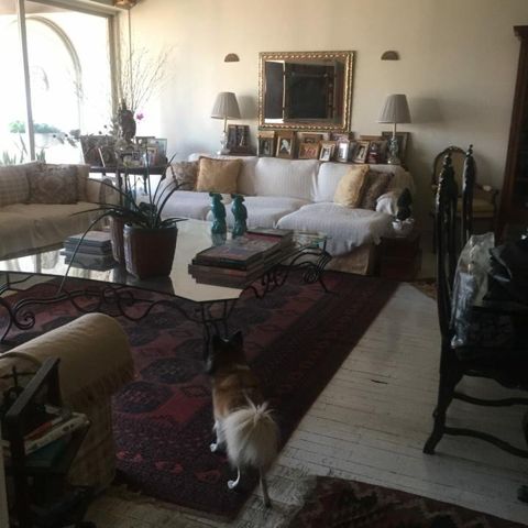 Apartamento à venda com 236m², 4 quartos e 3 vagas