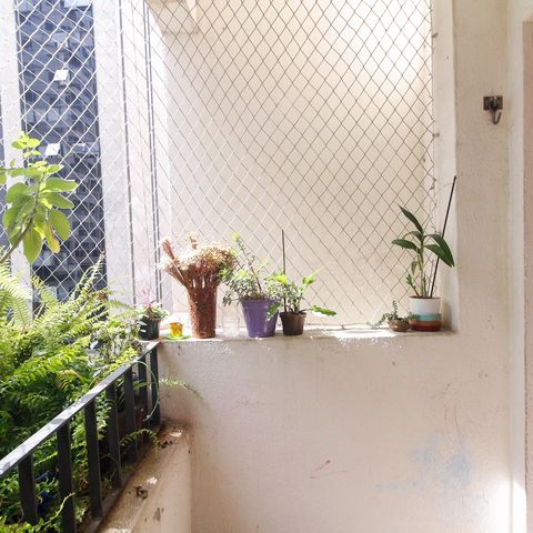 Apartamento à venda com 57m², 2 quartos e 1 vaga Apartamento à venda com 57m², 2 quartos e 1 vagaVaranda