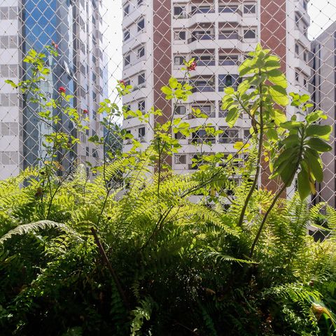 Apartamento à venda com 57m², 2 quartos e 1 vaga Apartamento à venda com 57m², 2 quartos e 1 vagaVaranda - Vista