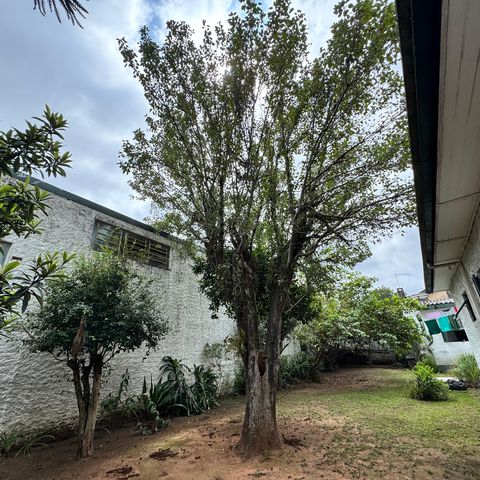 Casa à venda com 130m², 3 quartos e 1 vaga Casa à venda com 130m², 3 quartos e 1 vagaÁrea comum