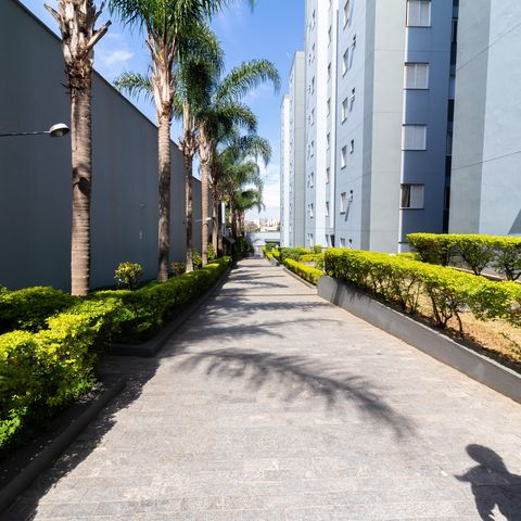 Apartamento para alugar com 72m², 2 quartos e 1 vaga Apartamento para alugar com 72m², 2 quartos e 1 vagaÁrea externa