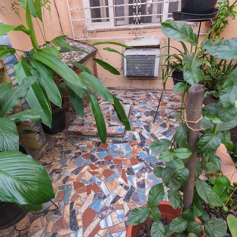 Casa à venda com 296m², 4 quartos e 2 vagas Casa à venda com 296m², 4 quartos e 2 vagasQuintal - Cisterna