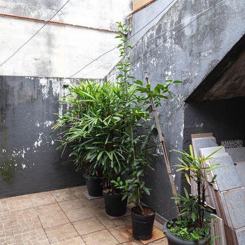 Casa à venda com 135m², 3 quartos e 1 vagaÁrea comum