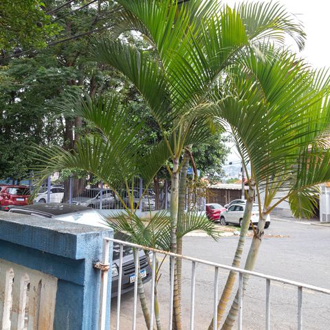 Casa à venda com 135m², 3 quartos e 1 vagaÁrea comum