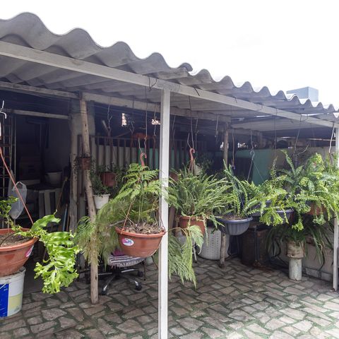 Casa à venda com 300m², 5 quartos e 3 vagas Casa à venda com 300m², 5 quartos e 3 vagasQuintal