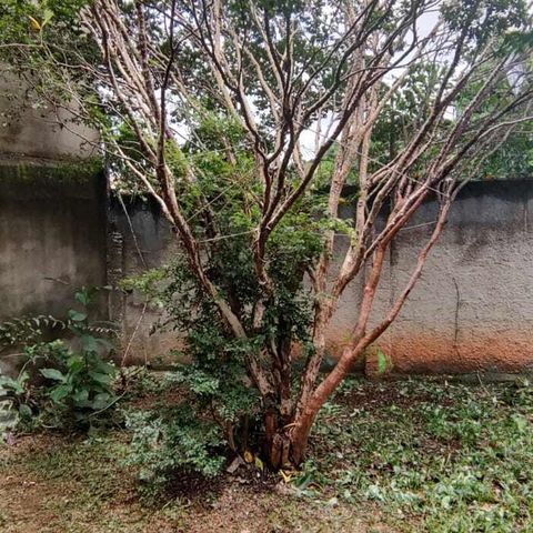 Casa à venda com 504m², 4 quartos e 1 vaga