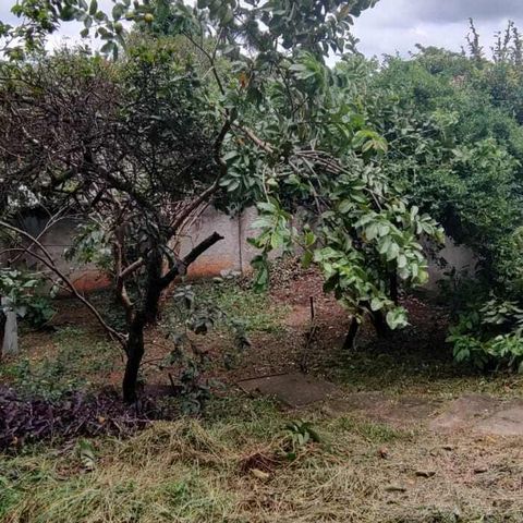 Casa à venda com 504m², 4 quartos e 1 vaga