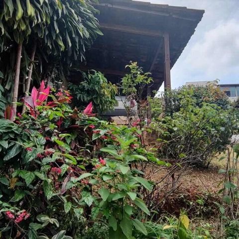 Casa à venda com 504m², 4 quartos e 1 vaga