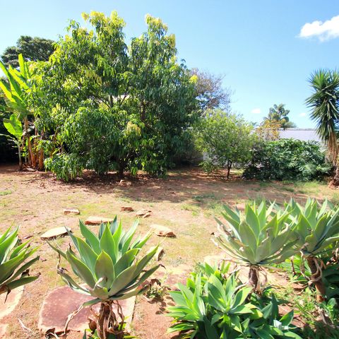 Casa à venda com 800m², 5 quartos e 10 vagasQuintal