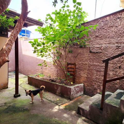 Casa à venda com 207m², 2 quartos e 2 vagas Casa à venda com 207m², 2 quartos e 2 vagasQuintal