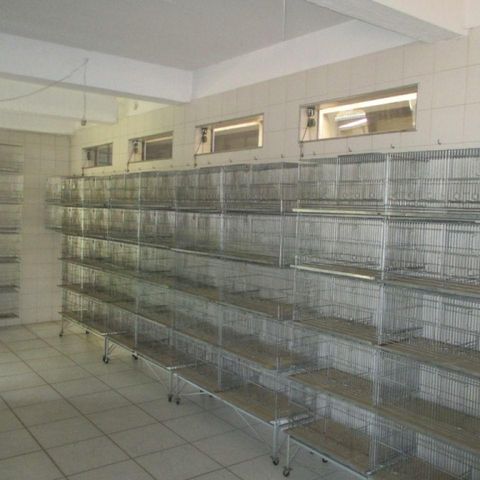 Casa à venda com 240m², 3 quartos e 3 vagas