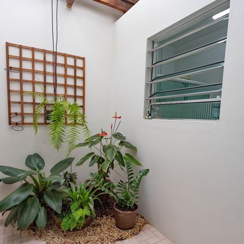 Casa para alugar com 300m², 3 quartos e sem vagaJardim de inverno