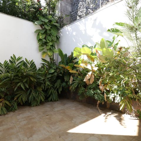 Casa à venda com 351m², 3 quartos e 3 vagasQuintal