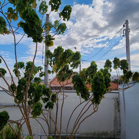 Casa à venda com 162m², 3 quartos e 3 vagas Casa à venda com 162m², 3 quartos e 3 vagasVista da Sala