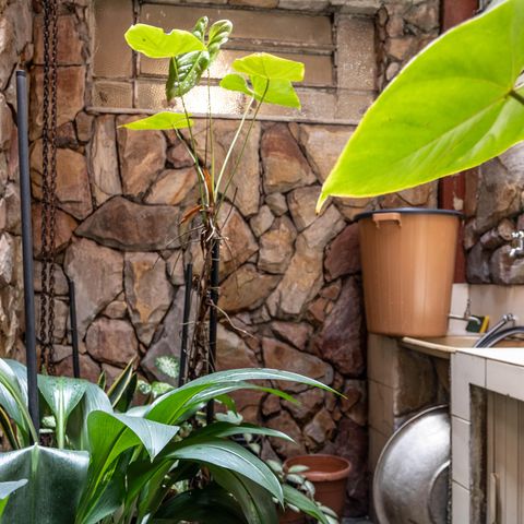 Apartamento à venda com 100m², 3 quartos e sem vaga Apartamento à venda com 100m², 3 quartos e sem vagaÁrea de Serviço