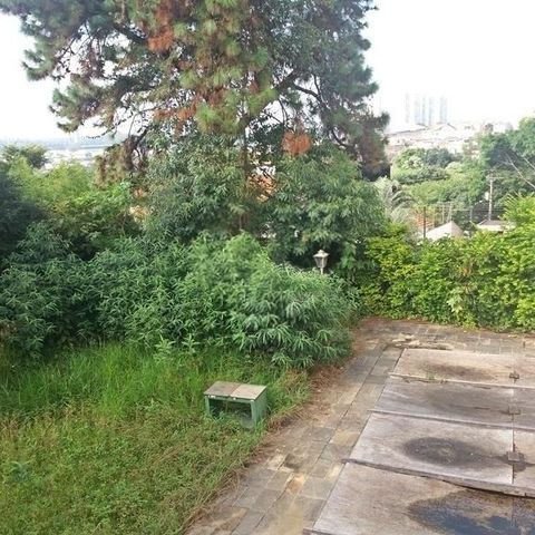 Casa à venda com 341m², 3 quartos e 5 vagas