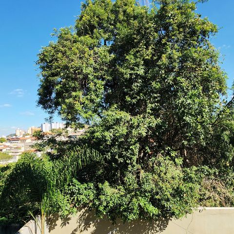 Casa à venda com 300m², 4 quartos e 3 vagas Casa à venda com 300m², 4 quartos e 3 vagasVista Quarto 3