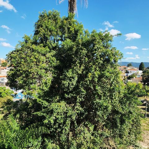 Casa à venda com 300m², 4 quartos e 3 vagas Casa à venda com 300m², 4 quartos e 3 vagasVista Quarto