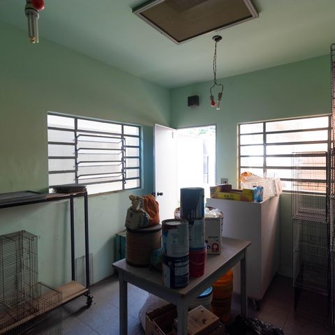 Casa para alugar com 450m², 5 quartos e 4 vagas Edicula Quarto anexo 07