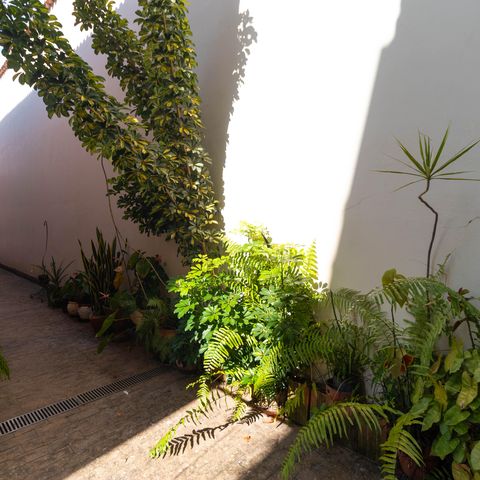 Casa para alugar com 450m², 5 quartos e 4 vagasQuintal