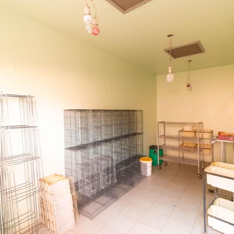 Casa para alugar com 450m², 5 quartos e 4 vagas Edicula /Quarto anexo 04