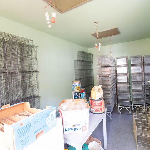 Casa para alugar com 450m², 5 quartos e 4 vagas Edicula Quarto anexo 07