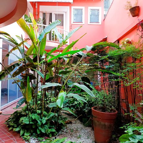 Casa à venda com 248m², 3 quartos e 2 vagas Casa à venda com 248m², 3 quartos e 2 vagasQuintal