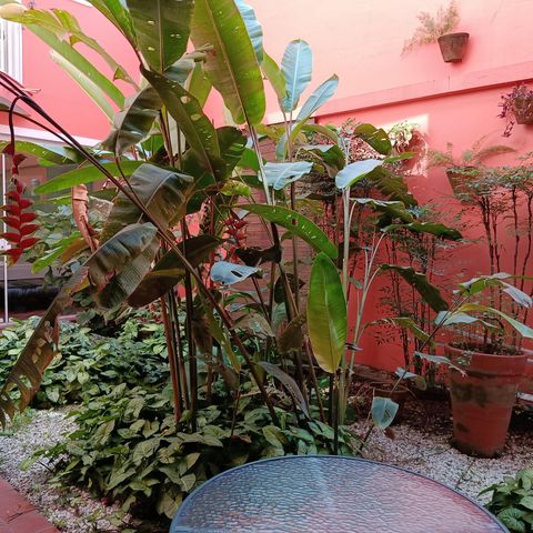 Casa à venda com 248m², 3 quartos e 2 vagas Casa à venda com 248m², 3 quartos e 2 vagasQuintal