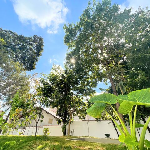 Apartamento à venda com 48m², 2 quartos e 1 vagaÁrea Verde do Condomínio