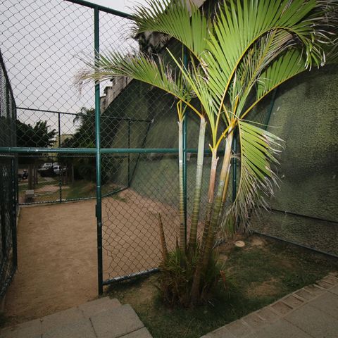 Apartamento para alugar com 52m², 2 quartos e 1 vagaÁrea comum - Quadra