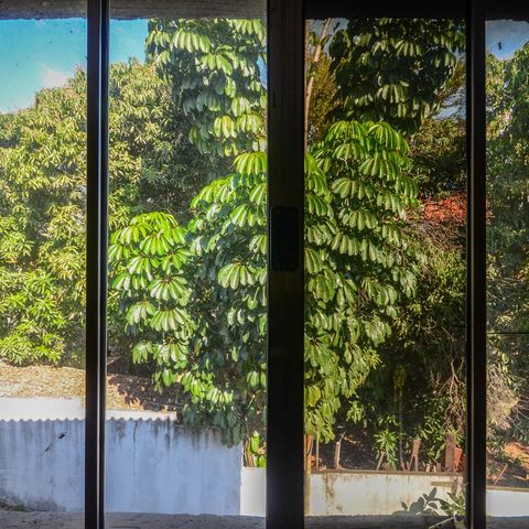 Casa à venda com 463m², 9 quartos e 8 vagas Casa à venda com 463m², 9 quartos e 8 vagasSuíte 3 - janela