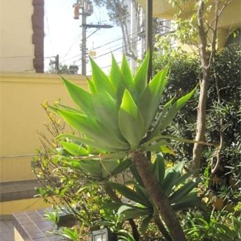Apartamento à venda com 90m², 3 quartos e 2 vagas