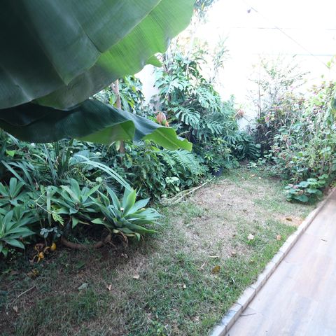 Casa à venda com 230m², 4 quartos e 5 vagasJardim