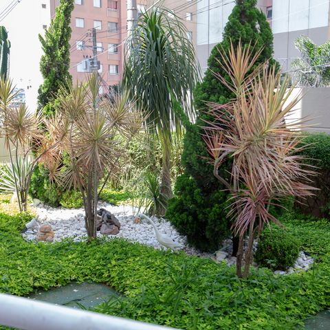 Apartamento à venda com 43m², 2 quartos e sem vagaÁrea comum