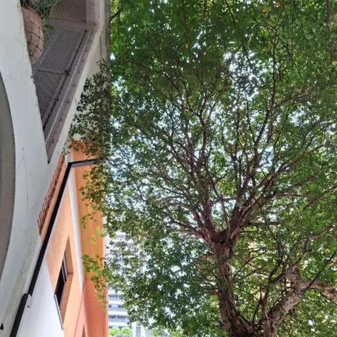Casa à venda com 270m², 3 quartos e 1 vaga