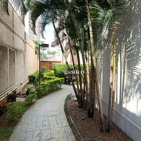 Apartamento à venda com 55m², 3 quartos e 1 vaga