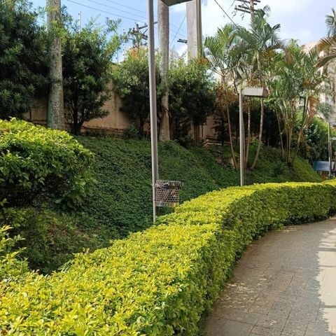 Apartamento à venda com 55m², 3 quartos e 1 vaga