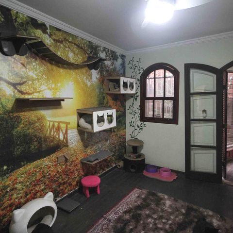 Casa à venda com 450m², 3 quartos e 3 vagasQuarto 2