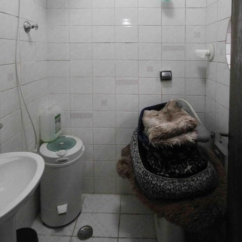 Casa à venda com 450m², 3 quartos e 3 vagasBanheiro da Edícula