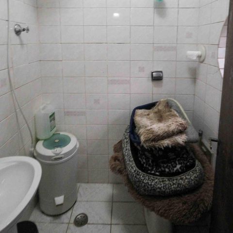 Casa à venda com 450m², 3 quartos e 3 vagasBanheiro da Edícula