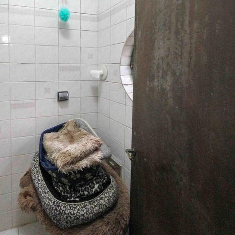 Casa à venda com 450m², 3 quartos e 3 vagasBanheiro da Edícula