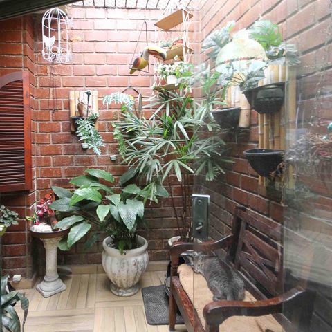 Casa à venda com 450m², 3 quartos e 3 vagasJardim de inverno