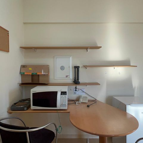 Studio para alugar com 32m², 1 quarto e sem vagaStudio