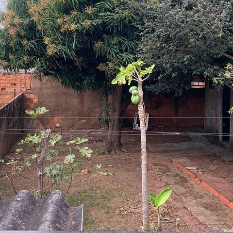 Casa para alugar com 300m², 2 quartos e 4 vagas Casa para alugar com 300m², 2 quartos e 4 vagasQuintal