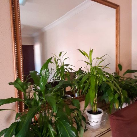 Apartamento à venda com 59m², 2 quartos e 2 vagas Apartamento à venda com 59m², 2 quartos e 2 vagasSala de Jantar