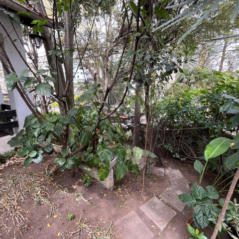 Casa à venda com 147m², 3 quartos e 6 vagasÁrea comum