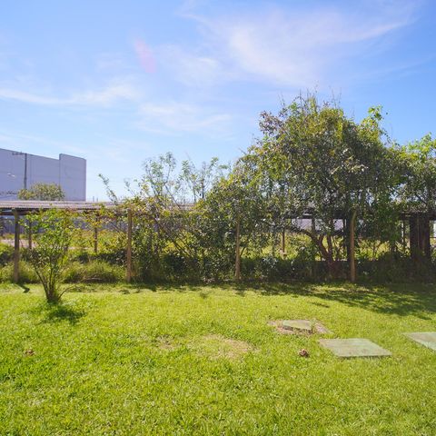 Apartamento à venda com 50m², 2 quartos e sem vagaVista do Quarto 2